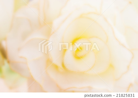 Abstract blurred background flower shape pastel Abstract blurred background flower shape pastel 21825831