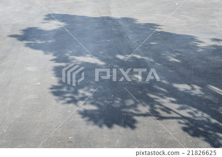 Shadow of tree on the asphalt pavement Shadow of tree on the asphalt pavement 21826625