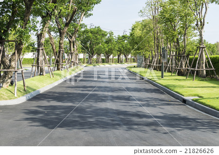 road among the fresh green of spring foliage road among the fresh green of spring foliage 21826626