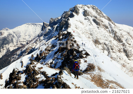 Oyama who heads to Yokoyama on the Yatsugatake ridgeline in winter Oyama who heads to Yokoyama on the Yatsugatake ridgeline in winter 21827021