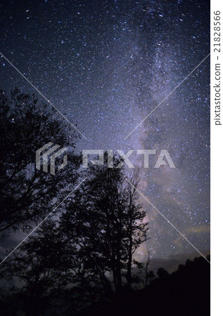 明星視圖 明星視圖 21828566