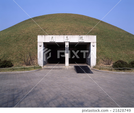 Temma馬丘 21828749