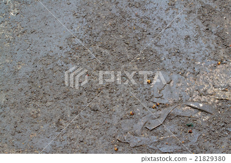Floors dirty with oil Floors dirty with oil 21829380
