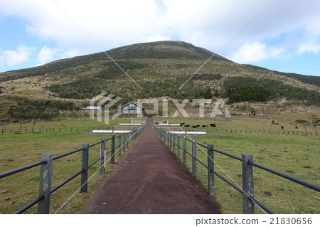 Look up at Hachijojima Fureai ranch observatory from Hachijo Fuji 21830656