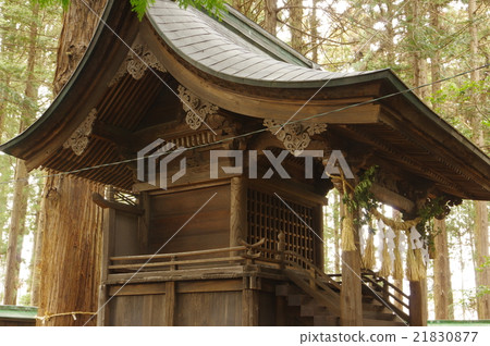 信州岡山神社東鶴谷八幡宮(澀谷八幡宮)本町市重要文化財產指定 信州岡山神社東鶴谷八幡宮(澀谷八幡宮)本町市重要文化財產指定 21830877