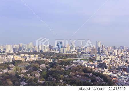 在櫻花時的東京視圖 在櫻花時的東京視圖 21832342