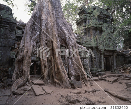 Ta Prohm 21832460