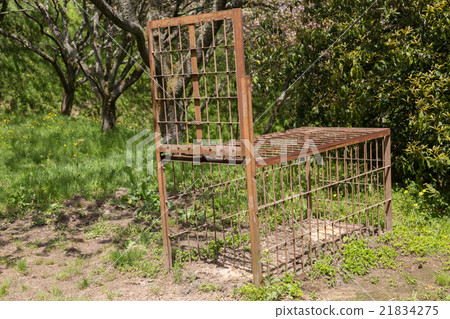 Measures against wild boar 21834275