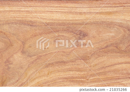 Padauk wood texrure Padauk wood texrure 21835266