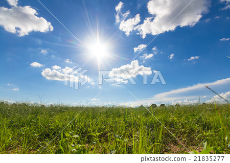 图库照片 sun rays with blue sky background