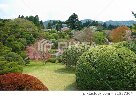 溫泉箱根公園湖濱觀景台 溫泉箱根公園湖濱觀景台 21837304
