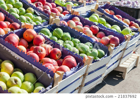Fresh red and green apples for sale at the market Fresh red and green apples for sale at the market 21837692