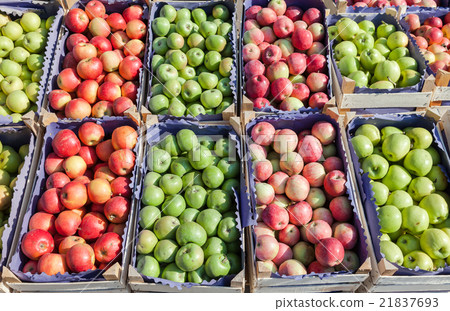 Fresh red and green apples for sale at the market Fresh red and green apples for sale at the market 21837693