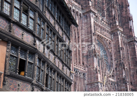 Cathedrale Notre-Dame de Strasbourg, France 21838005