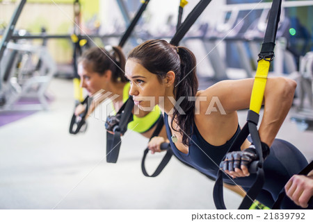 Women training arms with trx fitness straps in the Women training arms with trx fitness straps in the 21839792