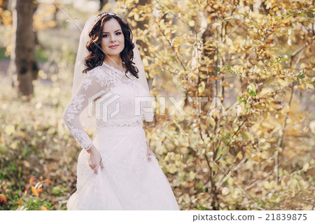 wonderful wedding day wonderful wedding day 21839875