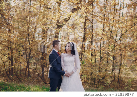 wonderful wedding day 21839877