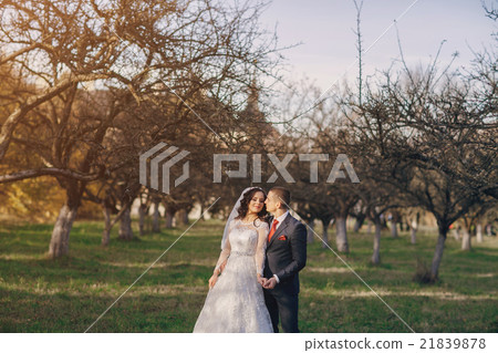 wonderful wedding day wonderful wedding day 21839878