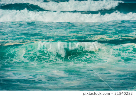 Hawaii, North Shore in winter 21840282