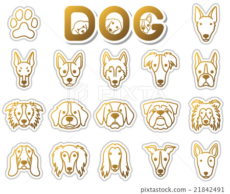 Dog / icon Dog / icon 21842491