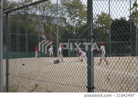 Baseball Baseball 21842497