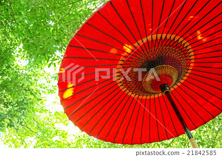 傘日本傘 21842585