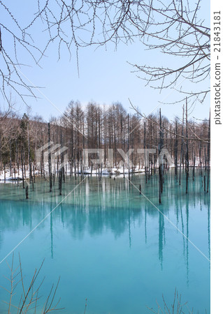 剩下1的雪藍色池塘 剩下1的雪藍色池塘 21843181