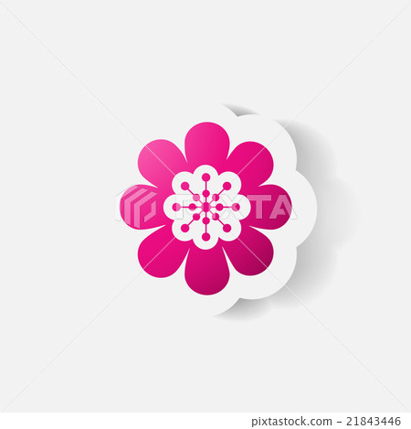 Realistic paper sticker: flowers. camomile Realistic paper sticker: flowers. camomile 21843446