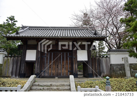 Shinobushiro 21843733