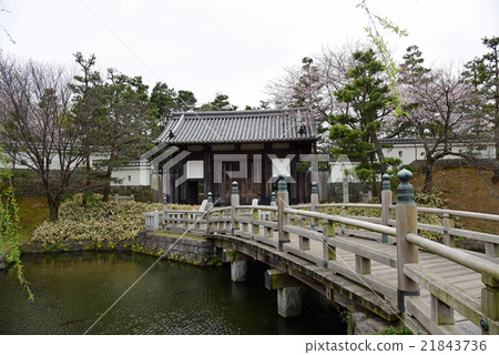 Shinobushiro 21843736