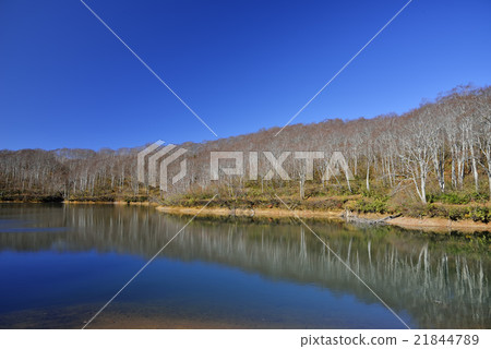 Late Autumn Chaya Pond Late Autumn Chaya Pond 21844789