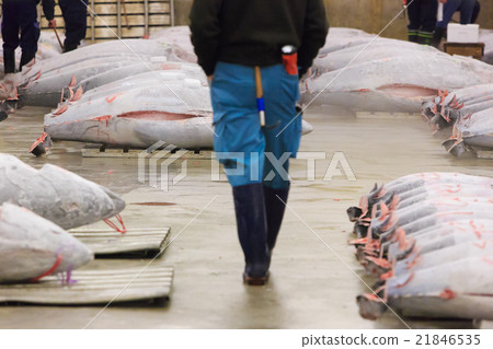 築地市場 - 金槍魚批發廣場和斜坡 - 築地市場 - 金槍魚批發廣場和斜坡 - 21846535