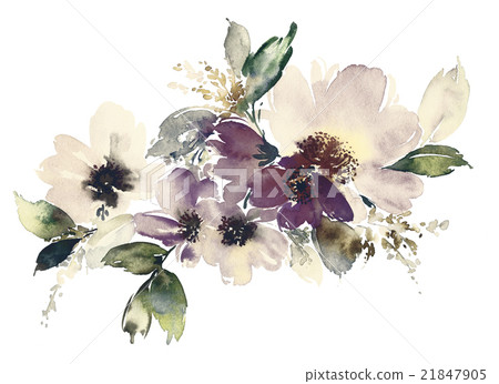 Flowers watercolor illustration 21847905