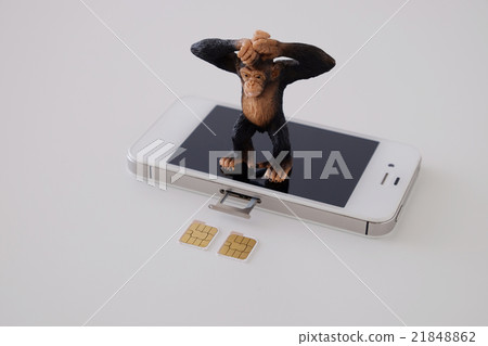 SIM card 21848862
