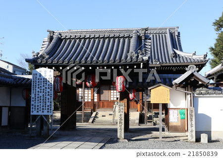 Eastern Kanonji Eastern Kanonji 21850839