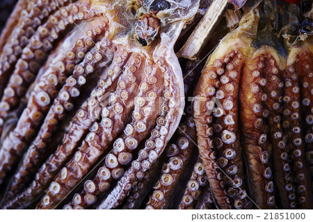 Dried octopus 21851000