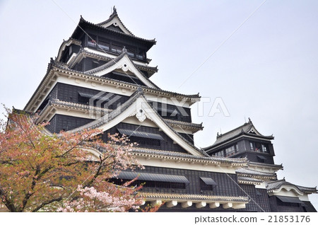 Kumamoto castle 21853176