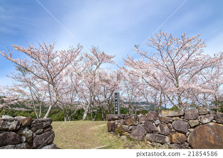 赤城城堡的春天遺址 赤城城堡的春天遺址 21854586