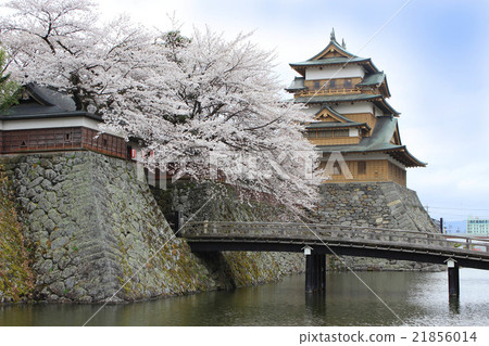 在高島城堡的櫻花 在高島城堡的櫻花 21856014