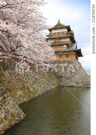 在高島城堡的櫻花 21856016