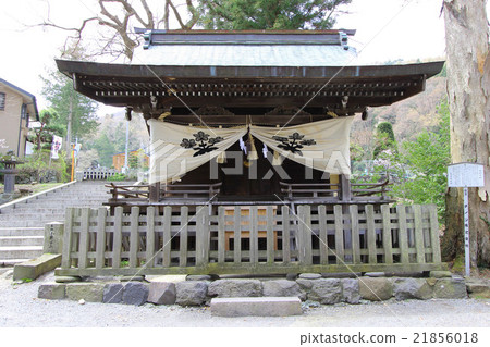 Su訪大社神社新幹線宮 Su訪大社神社新幹線宮 21856018