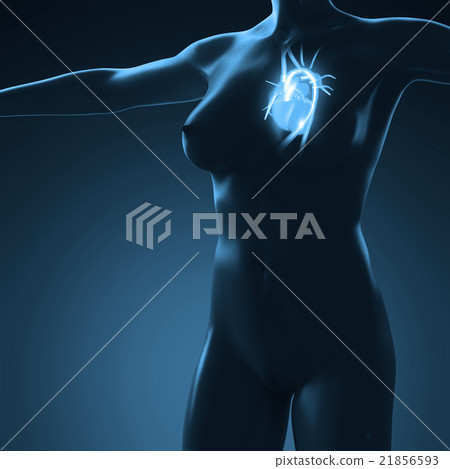 science anatomy of human body with glow heart 21856593