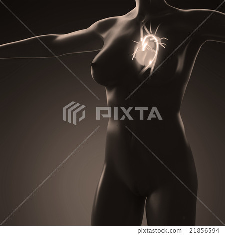 science anatomy of human body with glow heart 21856594