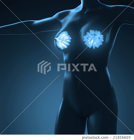 body with glow mammary gland 21856605