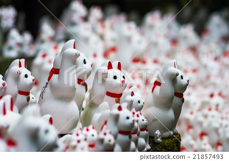 Futatsukuji的幸運貓（東京風景） 21857493