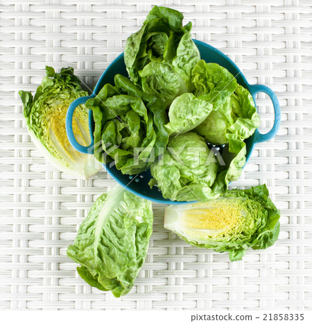 Fresh Romaine Lettuce Fresh Romaine Lettuce 21858335
