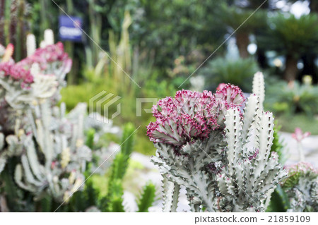 Smoking Area At Singapore Changi Airport Stock Photo