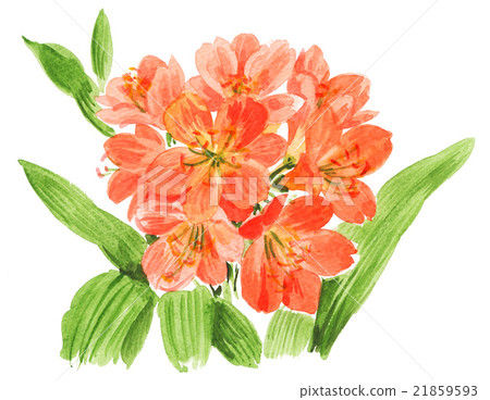 花朵 花 花卉 21859593