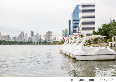 Paddle boat Paddle boat 21859802