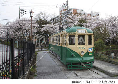 Sakura和Toden Denki 6000型(先生) Sakura和Toden Denki 6000型(先生) 21860624